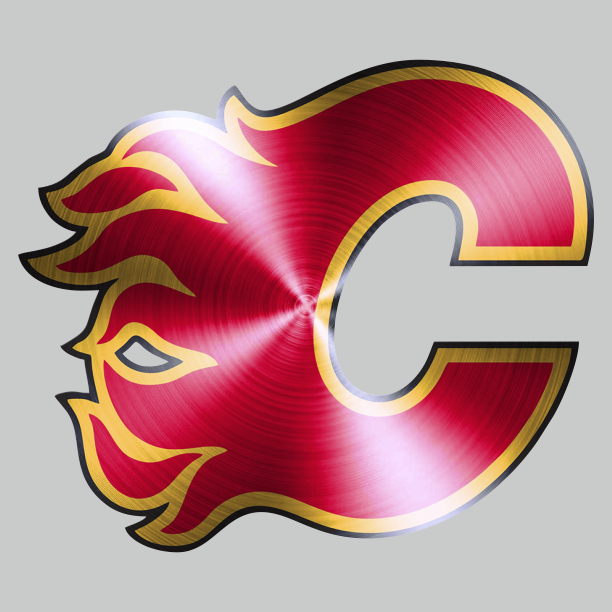 Calgary Flames Stainless steel logo iron on paper